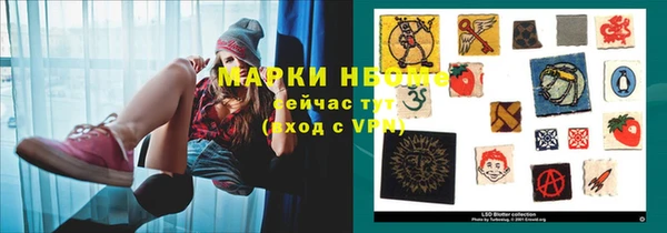 стаф Абаза