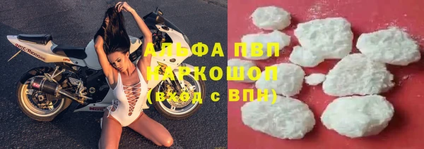 СК Алзамай