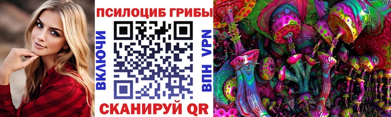 хочу наркоту  Николаевск-на-Амуре  Галлюциногенные грибы Psilocybine cubensis 